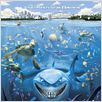 Findet Nemo : Kinoposter