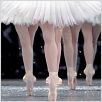 La Danse - Das Ballett der Pariser Oper : Bild Frederick Wiseman