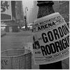 Der Tiger von New York : Bild