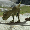 Speckles - Die Abenteuer eines Dinosauriers 3D : photo