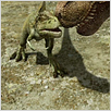 Speckles - Die Abenteuer eines Dinosauriers 3D : photo