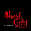 Hänsel und Gretel: Hexenjäger : poster