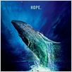 Life of Pi: Schiffbruch mit Tiger : Kinoposter