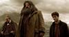 Er war Hagrid in den "Harry Potter"-Filmen: Robbie Coltrane im Alter von 72 Jahren verstorben
