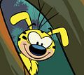 Bilder : Marsupilami
