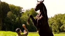 Groupies Bleiben Nicht Zum Frühstück Ganzer Film Groupies Bleiben Nicht Zum Frühstück Ganzer Film