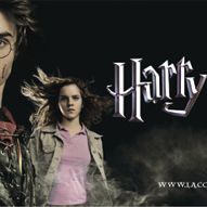 harry potter und der feuerkelch besetzung harry potter und der feuerkelch besetzung