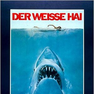 der weiГџe hai der weiГџe hai