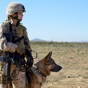 Sergeant Rex - Nicht Ohne Meinen Hund Sergeant Rex - Nicht Ohne Meinen Hund