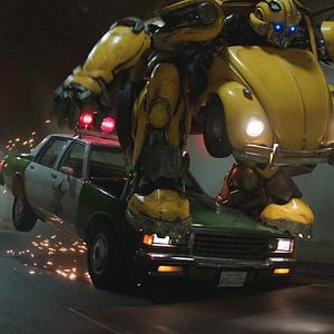 Kinofilm Bumblebee Kinofilm Bumblebee