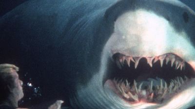 Der weiße Hai - Film 1975 - FILMSTARTS.de