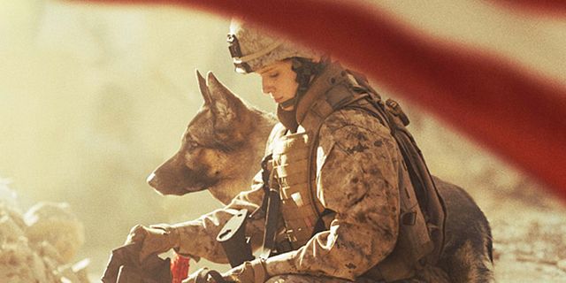 Sergeant Rex Nicht ohne meinen Hund Film 2017 FILMSTARTS.de