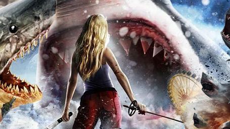 Besten Hai Filme Besten Hai Filme