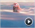 Findet Nemo Trailer DF
