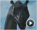 Mein Freund, der Wasserdrache Trailer OV