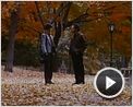 Harry und Sally Trailer OV