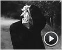 Shit Year Trailer DF