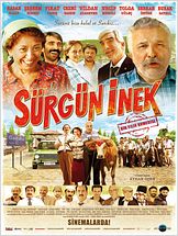 Sürgün İnek Sürgün İnek