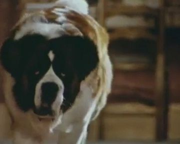 Eine Familie Namens Beethoven Trailer Ov Filmstarts De