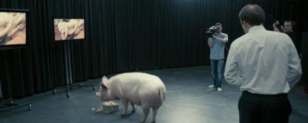 Black Mirror Schwein Black Mirror Schwein