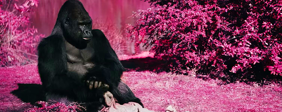 Sex, Gewalt, Drogen: Erster Trailer zum starbesetzten Milieu-Drama "Asphaltgorillas"