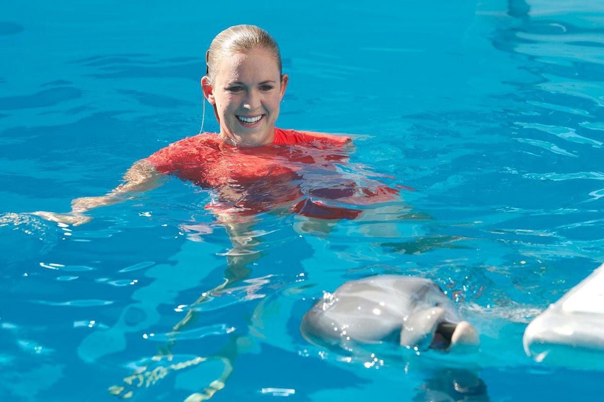 Mein Freund Der Delfin 2 Netflix