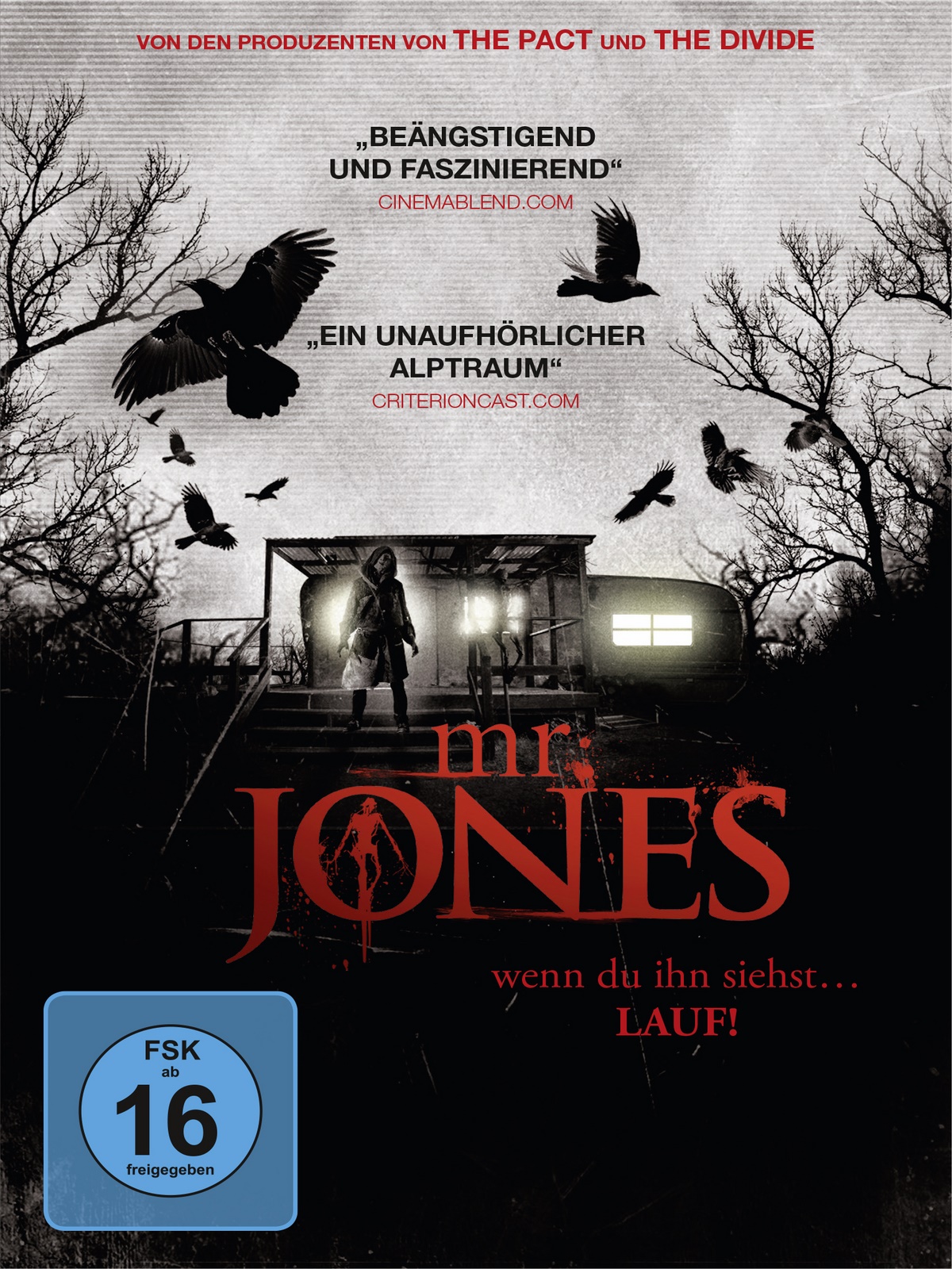 Mr. Jones Film 2013 FILMSTARTS.de