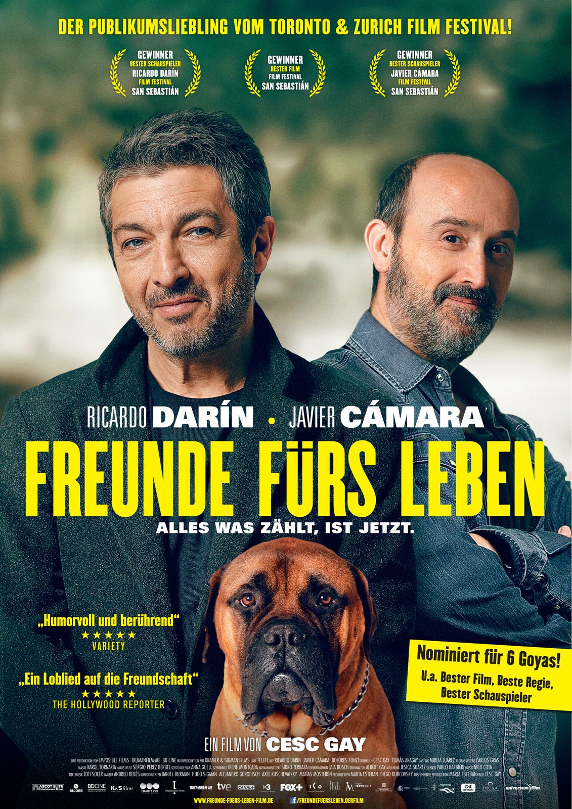 beste freunde film beste freunde film
