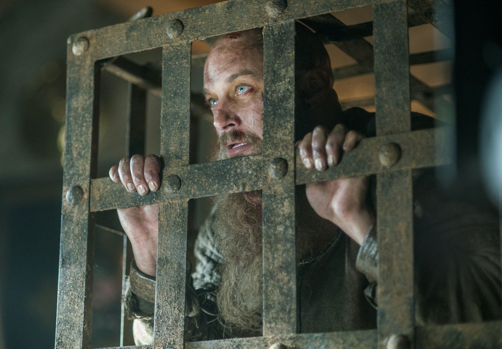 Vikings Vikings Bild Travis Fimmel Von Filmstarts De