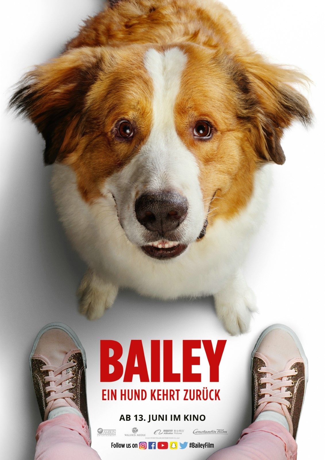 Bailey - Ein Hund Kehrt Zurück Bailey - Ein Hund Kehrt Zurück
