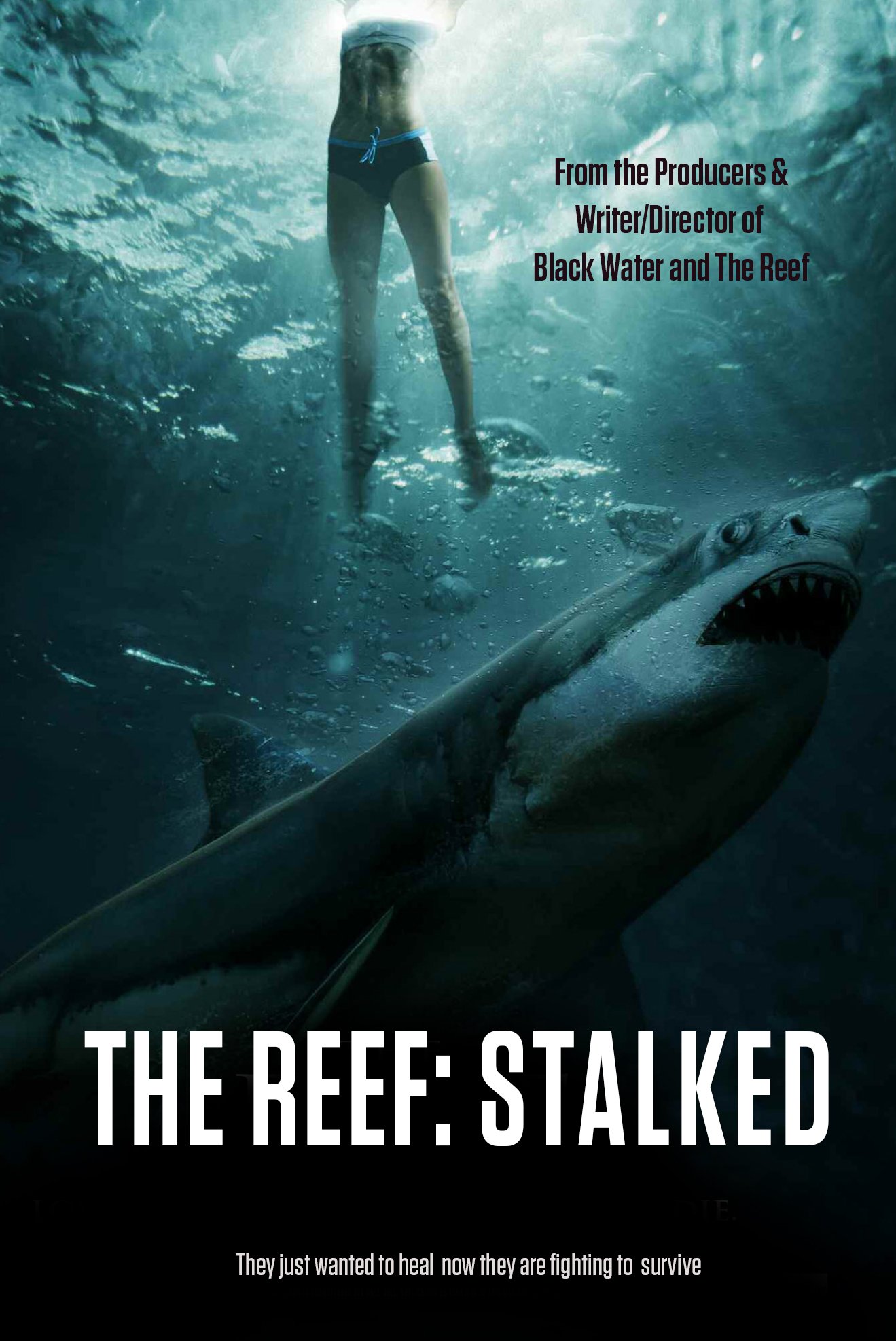 The Reef 2: Stalked - Film 2021 - FILMSTARTS.de