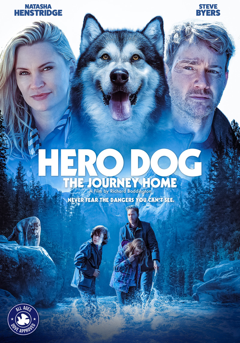 Hero Dog The Journey Home Film 2021 FILMSTARTS.de