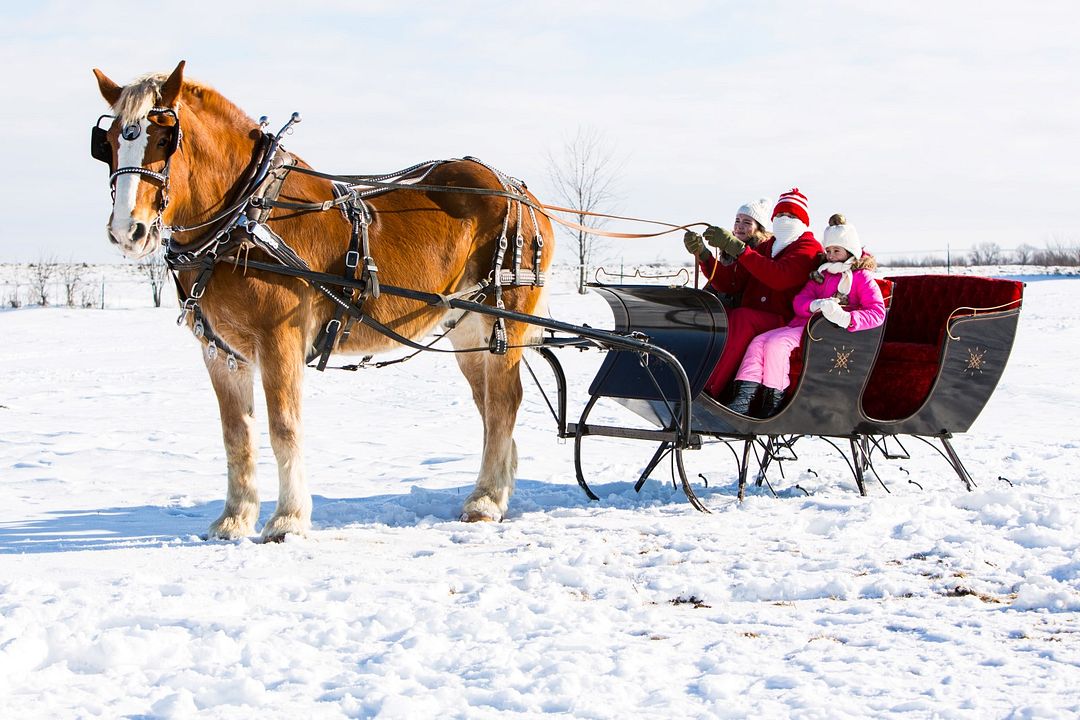 Viele Grüße Vom Weihnachtsmann Viele Grüße Vom Weihnachtsmann