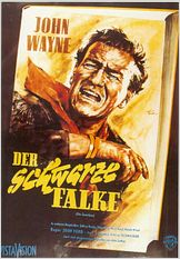 Der Schwarze Falke Film 1956 FILMSTARTS.de