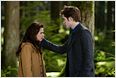 Twilight-Saga: "Breaking Dawn" kommt als Zweiteiler