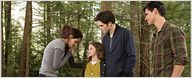 Deutsche Charts: "Breaking Dawn 2" verteidigt Spitzenpositition, "Hüter des Lichts" neu auf Rang drei