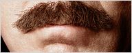 Die Nachrichtensprecher sind zurück: Erster Trailer und neues Poster zu "Anchorman 2" mit Will Ferrell und Steve Carell