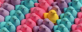 Abenteuer eines Schaumgummis: Die "Marshmallow Peeps" kommen Abenteuer eines Schaumgummis: Die "Marshmallow Peeps" kommen