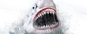 Hai-Alarm in Grönland: Erster rasanter Trailer zum Horror-Abenteuer "Ice Sharks" Hai-Alarm in Grönland: Erster rasanter Trailer zum Horror-Abenteuer "Ice Sharks"