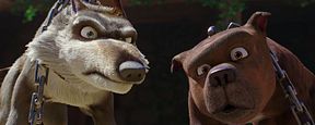 Tierisch biblisch: Erster Trailer zu "The Star" über die Weihnachtsgeschichte aus der Sicht von Tieren Tierisch biblisch: Erster Trailer zu "The Star" über die Weihnachtsgeschichte aus der Sicht von Tieren