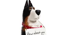 Im neuen Trailer zu "Pets 2" ist Harrison Ford der coolste Hund überhaupt! Im neuen Trailer zu "Pets 2" ist Harrison Ford der coolste Hund überhaupt!