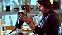 Umgekehrter "John Wick": "Happy Death Day"-Schöpfer teasert sein neues Projekt Umgekehrter "John Wick": "Happy Death Day"-Schöpfer teasert sein neues Projekt