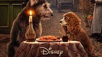 "Susi und Strolch": Der Trailer zum neuen Disney-Remake nach "König der Löwen" "Susi und Strolch": Der Trailer zum neuen Disney-Remake nach "König der Löwen"