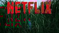 Die nächste Stephen-King-Verfilmung bei Netflix: Trailer zu "Im hohen Gras" Die nächste Stephen-King-Verfilmung bei Netflix: Trailer zu "Im hohen Gras"