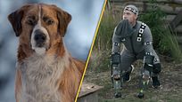 Video zu "Ruf der Wildnis": So albern sahen die Dreharbeiten mit CGI-"Hund" aus Video zu "Ruf der Wildnis": So albern sahen die Dreharbeiten mit CGI-"Hund" aus