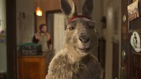 Mit Marvel-Erfahrung und einem Tarantino-Darsteller: So entstand der "Die Känguru-Chroniken"-Star Mit Marvel-Erfahrung und einem Tarantino-Darsteller: So entstand der "Die Känguru-Chroniken"-Star