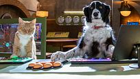 Pfoten vereint und bald im Kino! Deutscher Trailer zu "Cats & Dogs 3" Pfoten vereint und bald im Kino! Deutscher Trailer zu "Cats & Dogs 3"