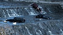 Kino-Hit nun auch in Deutschland: Mörder-Parasiten im deutschen Trailer zu "Contamination" Kino-Hit nun auch in Deutschland: Mörder-Parasiten im deutschen Trailer zu "Contamination"