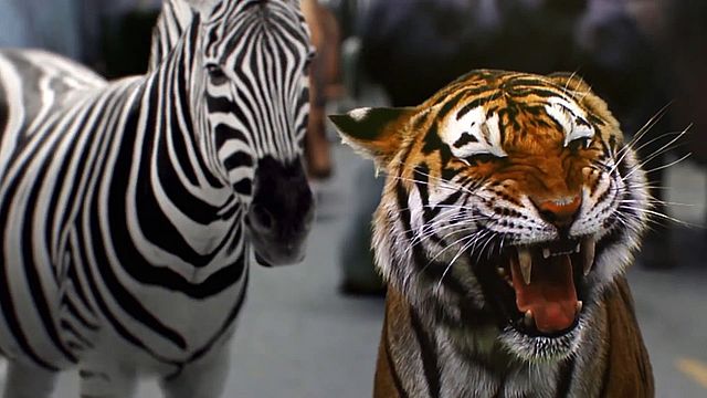 Zoo Serie Besetzung Zoo Serie Besetzung