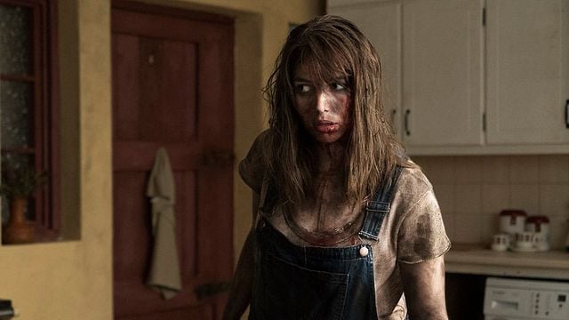 The Hole In The Ground Trailer DF